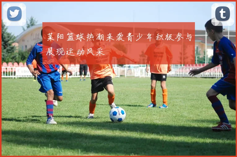 莱阳篮球热潮来袭青少年积极参与展现运动风采