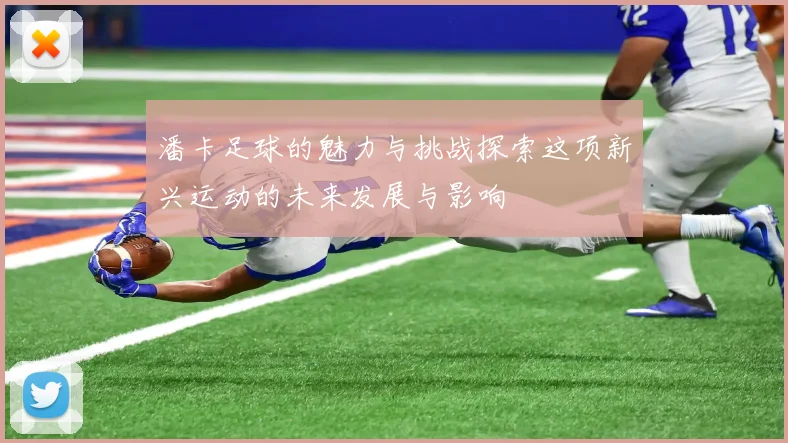 潘卡足球的魅力与挑战探索这项新兴运动的未来发展与影响