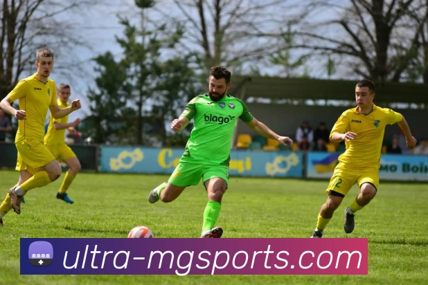 满贯体育平台生态图