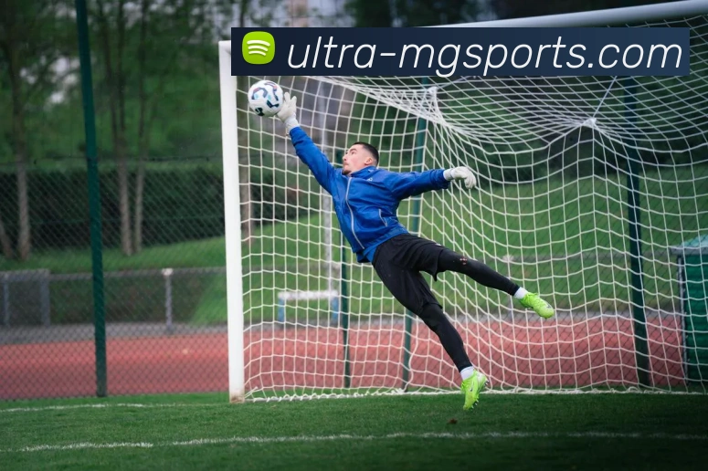 满贯体育全站App